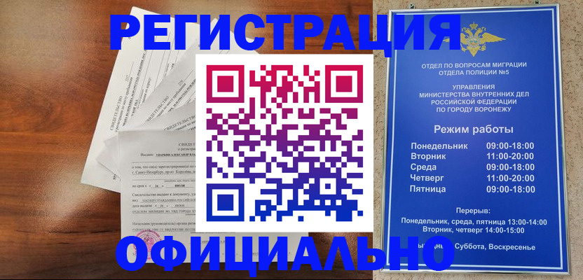 прописка поиск в Светлограде